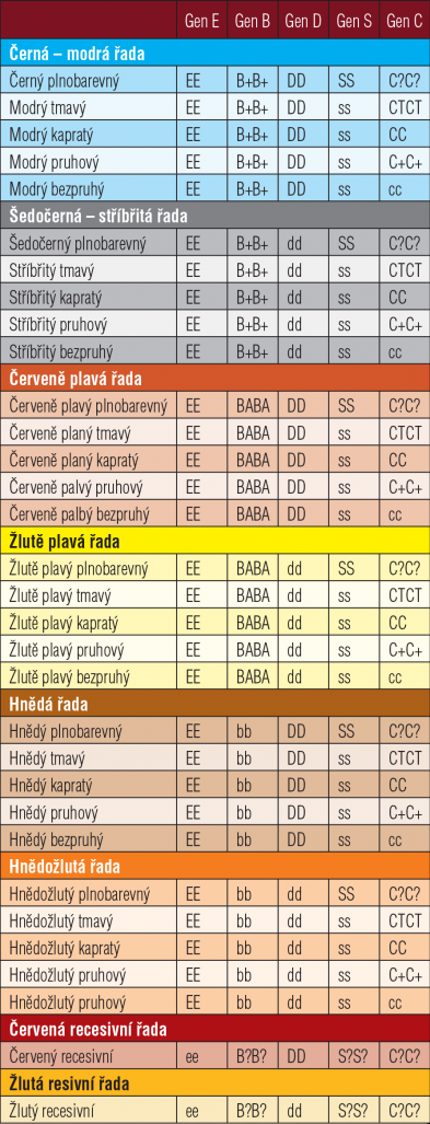 Zastoupení vloh v genech řídících základní zbarvení holubů